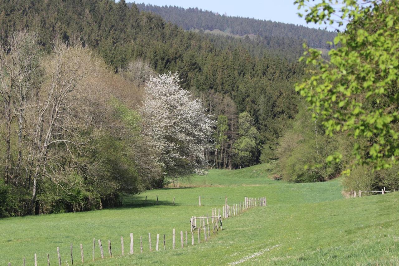 Le Clos Du Cerf - Le Sous-Bois Stoumont Εξωτερικό φωτογραφία