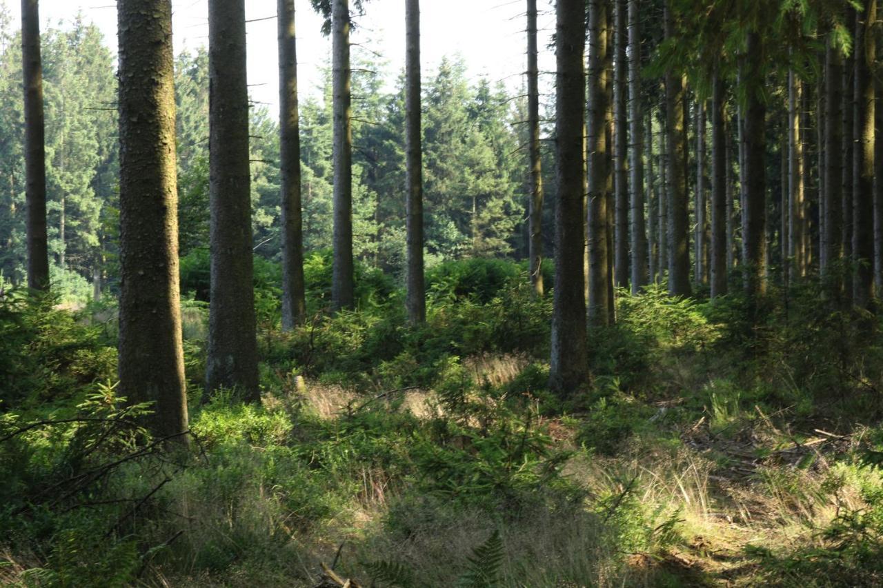 Le Clos Du Cerf - Le Sous-Bois Stoumont Εξωτερικό φωτογραφία