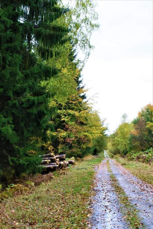Le Clos Du Cerf - Le Sous-Bois Stoumont Εξωτερικό φωτογραφία